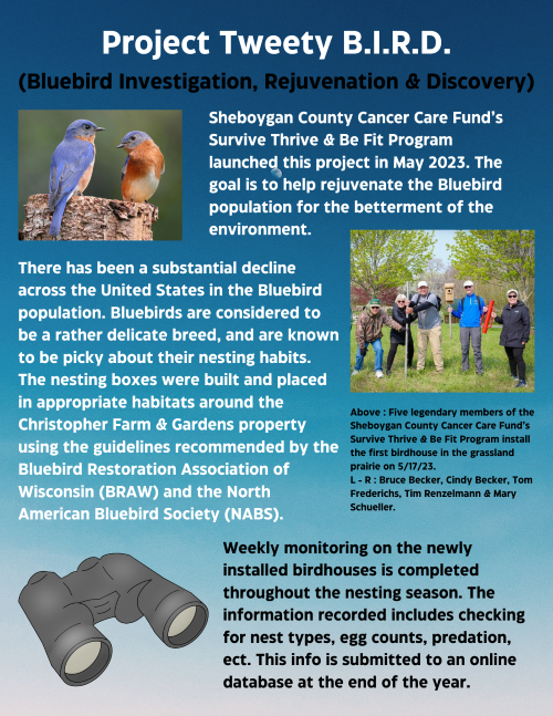 Project Tweety B.I.R.D.(Small) Project Tweety B.I.R.D.(Small)