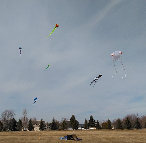 ST&BF: “Go Fly a Kite” with Great Heights with Delightful Kites!
