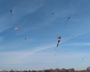 World According to Tim: Life Lessons Learned Flying My Kites!