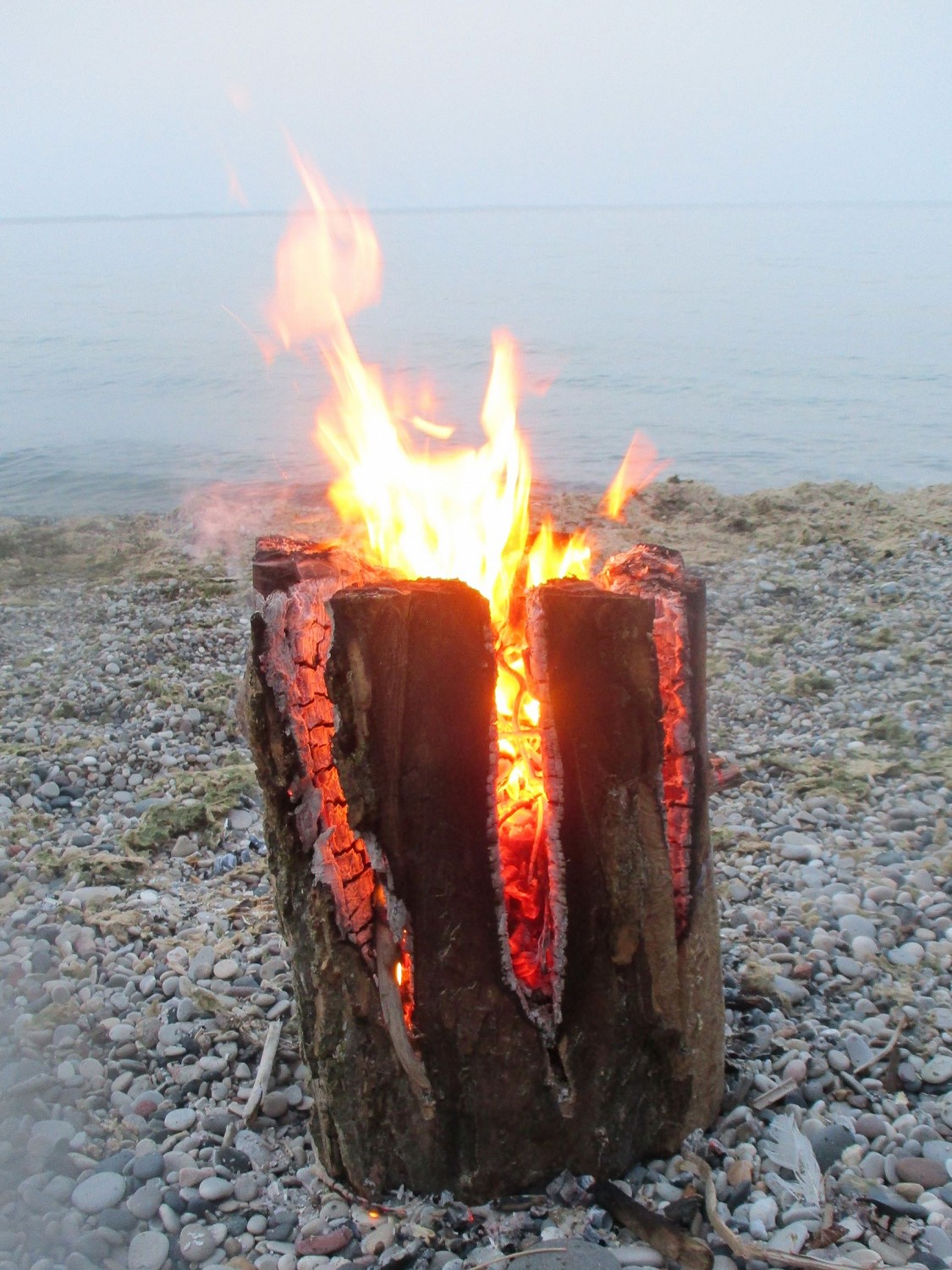 Lake worth beach bonfire homemade images
