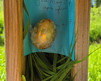 Project Tweety B.I.R.D. and the Story of “The Bluebird that Laid the Golden Egg!”