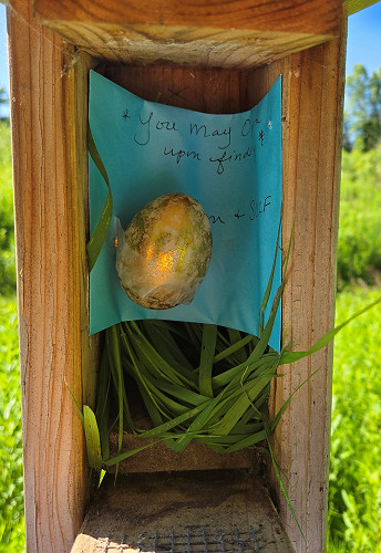 Project Tweety B.I.R.D. and the Story of “The Bluebird that Laid the Golden Egg!”