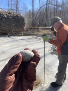 SCCCF2026 0216DuckOwlBoxWorkday01Rob