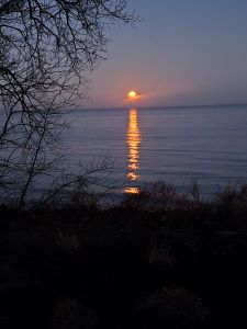 SCCCF2026 0303CF&GFullMoon03