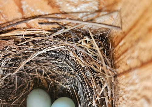 2026 - The Local Cancer Community In Action... And In Photos!