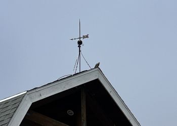 SCCCF Image